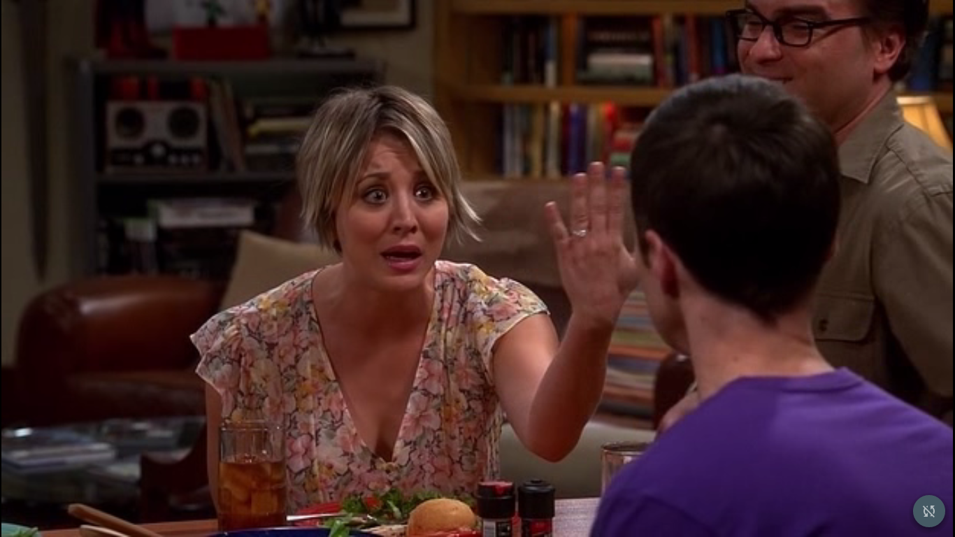 Big Bang Theory Season1 Fully Compressed Download Torrent